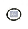 DT 2.32024 Seal Ring